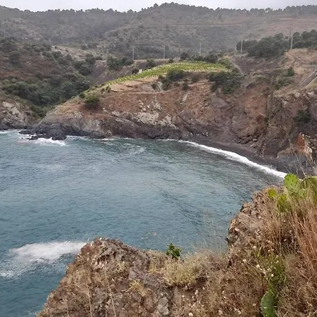 T2 With Sea View And Swimmimg Pool. * Cerbere