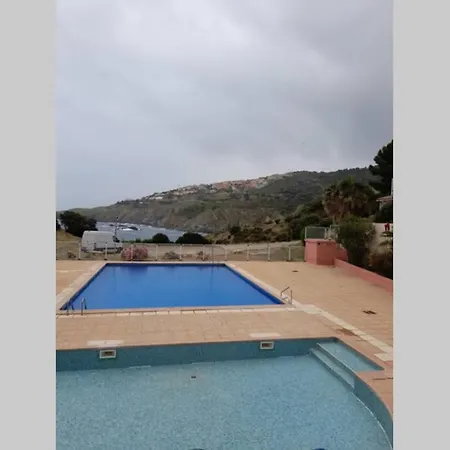 T2 With Sea View And Swimmimg Pool. Cerbere