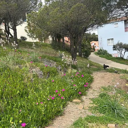 T2 With Sea View And Swimmimg Pool. Cerbere