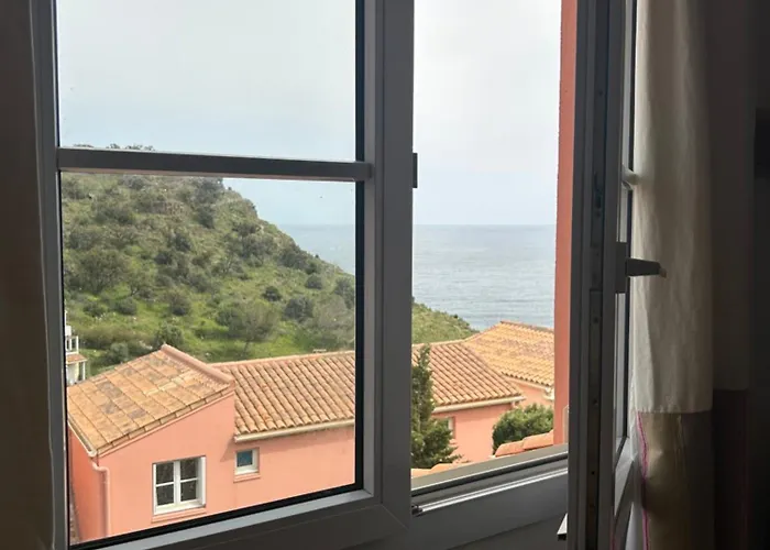 T2 With Sea View And Swimmimg Pool. Daire Cerbère