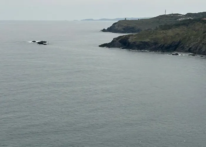 T2 With Sea View And Swimmimg Pool. Cerbère