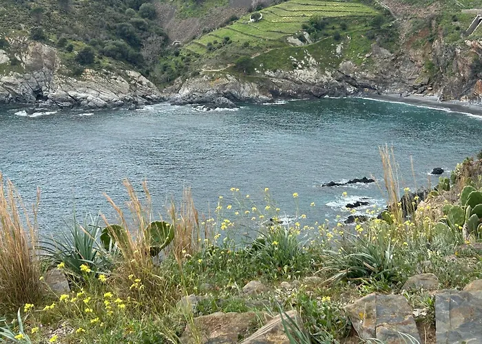 T2 With Sea View And Swimmimg Pool.