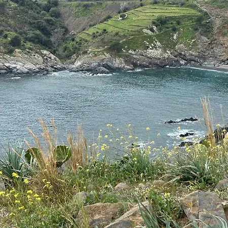 T2 With Sea View And Swimmimg Pool.
